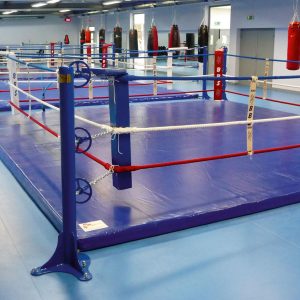 OMNISPORTS TRAINING (5,0 mm) - Sport PVC