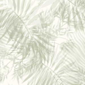 Palm KAKI