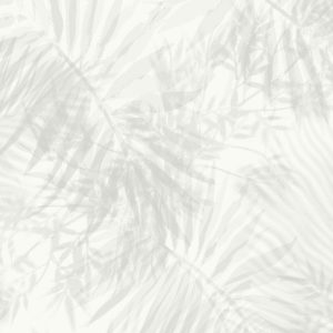 Palm SHADOW