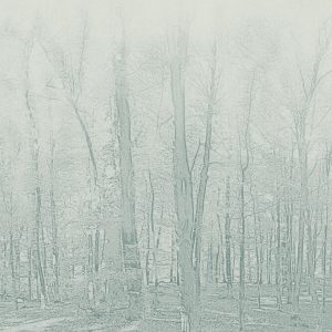 Forestic AQUA GREEN