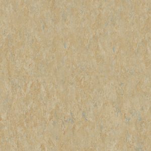 Veneto CAMEL 616