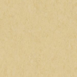 Veneto EGGSHELL 619
