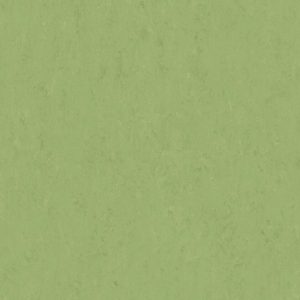 Veneto APPLE GREEN 754