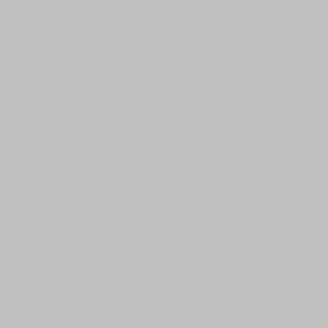 UNI SILVER GREY UNI 321