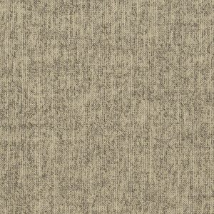 Desso Linon AD60 1610 V B8 50x50