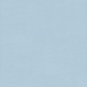 Wallgard BLUE